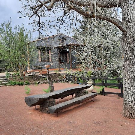 Casa Etna Villa Bronte Kültér fotó