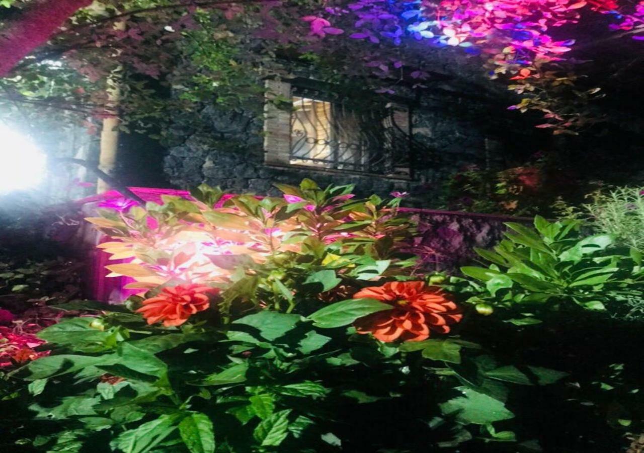 Casa Etna Villa Bronte Kültér fotó