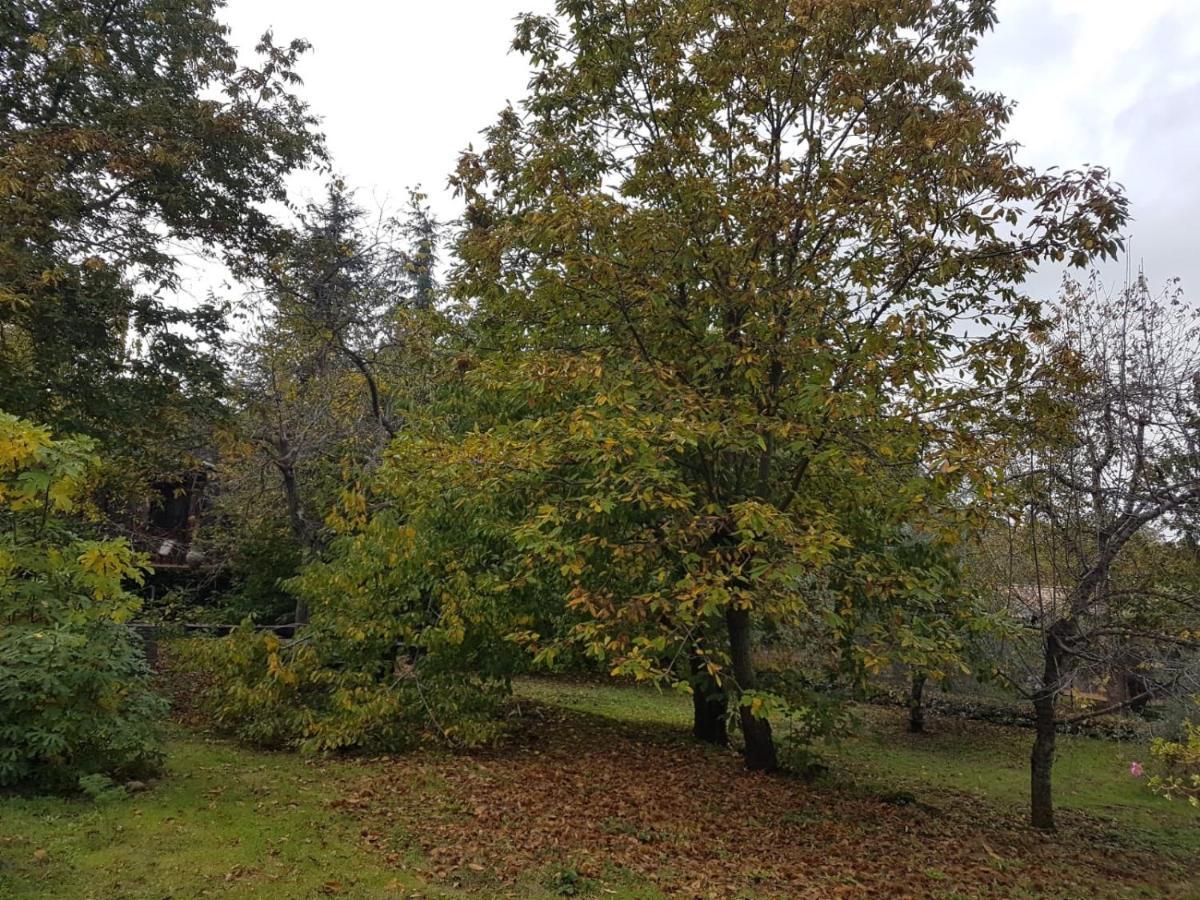 Casa Etna Villa Bronte Kültér fotó